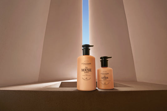 Shea (Karité) Cream Hand Wash