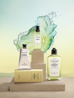 Cédrat Stick Deodorant Refill - Illustration 2
