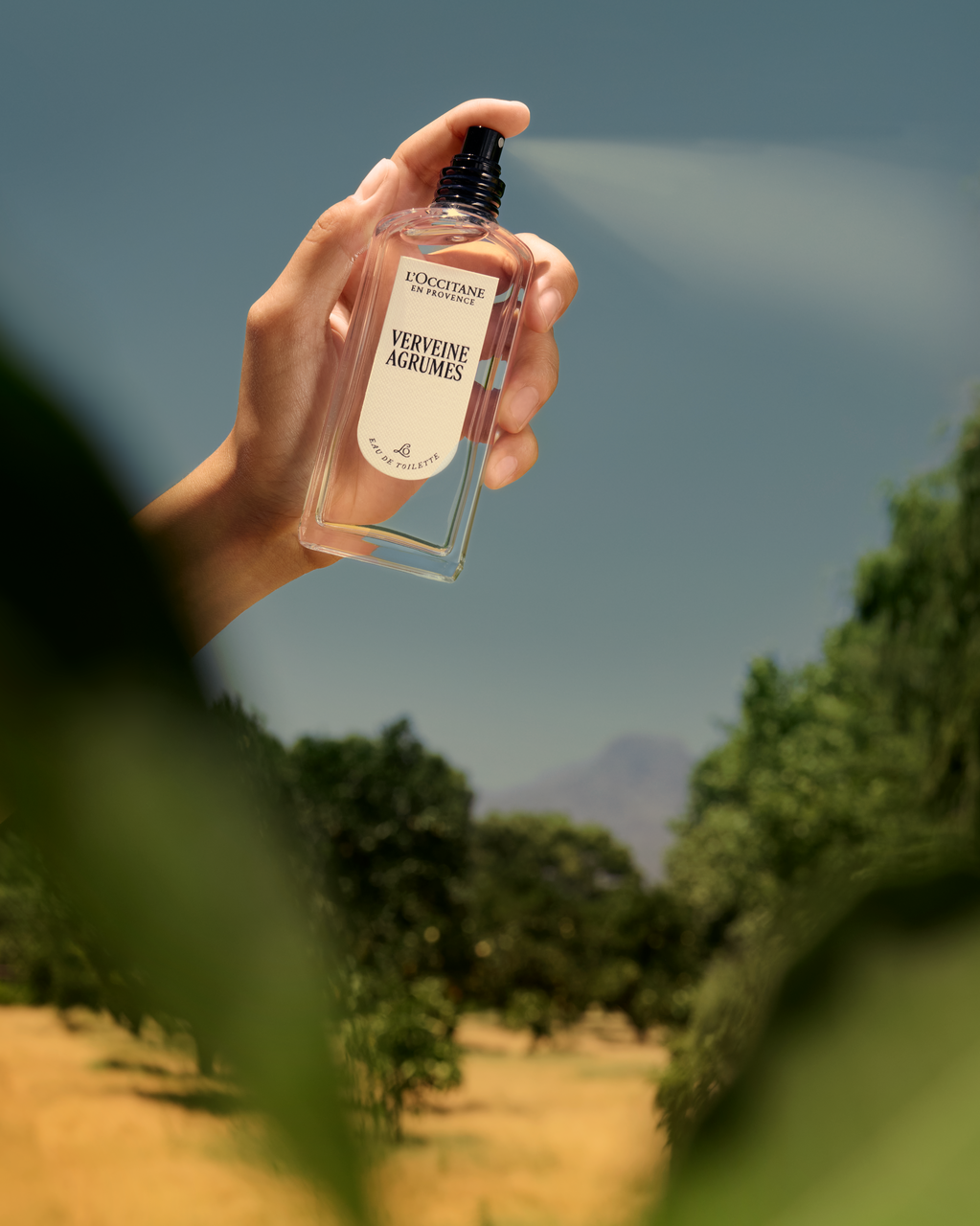 Verveine Agrumes (Citrus Verbena) Eau De Toilette - Image 2