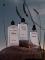 Lavande (Lavender) Perfumed Body Lotion