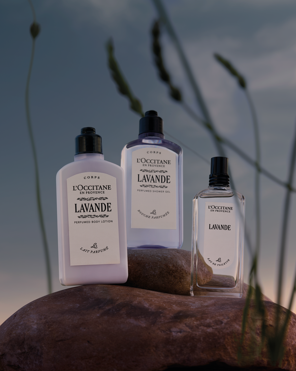 Lavande (Lavender) Perfumed Body Lotion