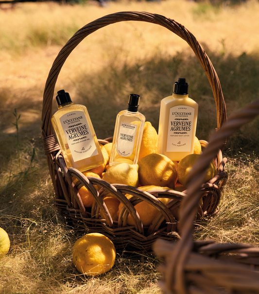 Verveine Agrumes (Citrus Verbena) Perfumed Body Lotion