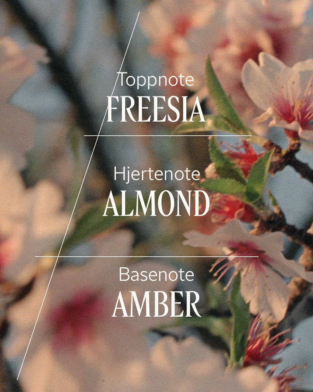 Almond (Amande) Delightful Hair & Body Mist