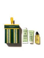 Almond Ornament - Illustration 4