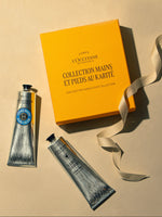 Shea Hand & Foot Duo