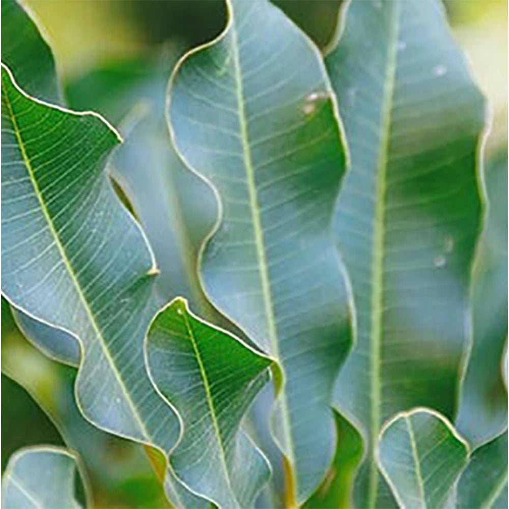 Image with text