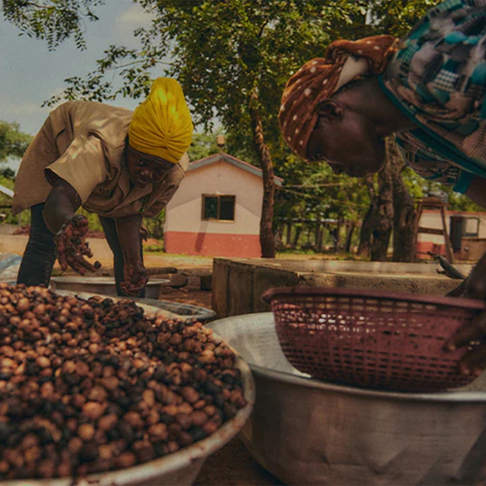 Mer enn bare en nøtt