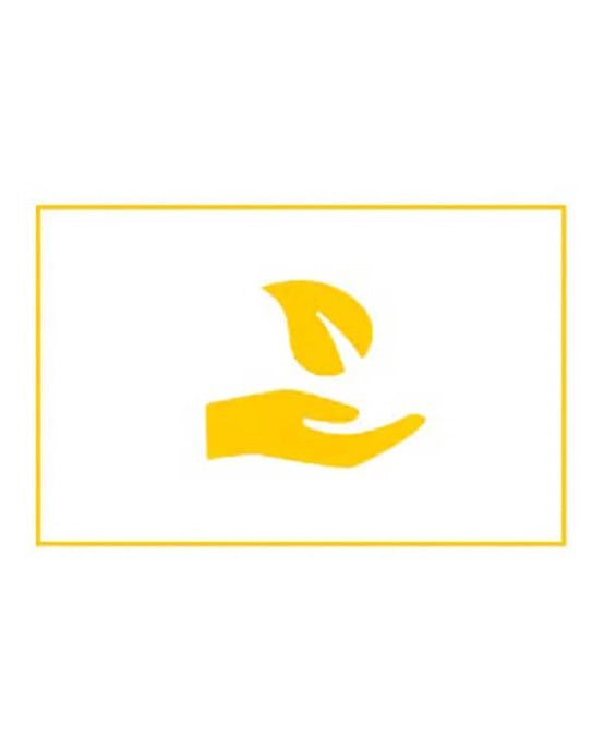 Image-text-2