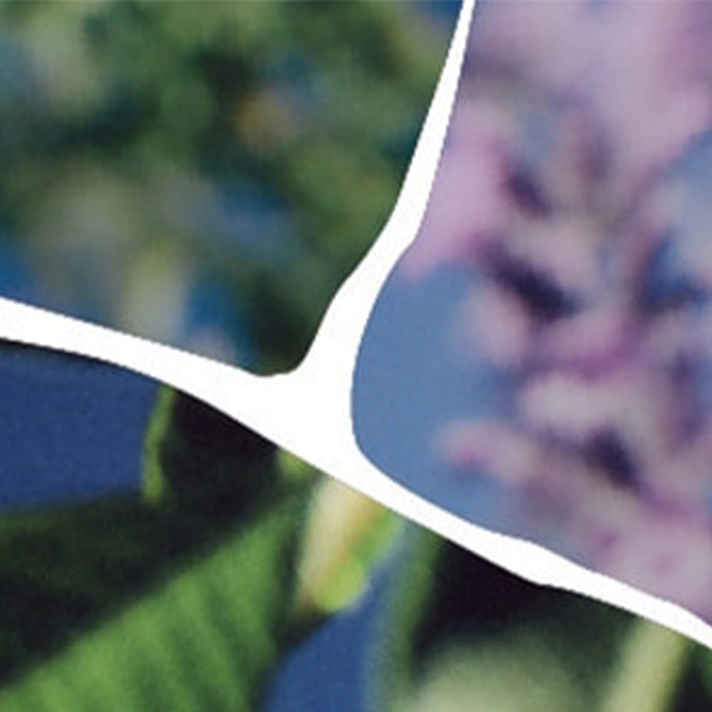 Image with text