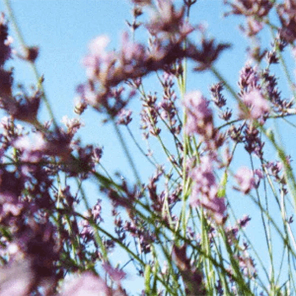 Image with text